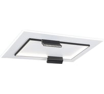 Потолочный светодиодный светильник Ambrella Light COMFORT FL51456