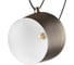 Подвесная люстра Lightstar omega 727253 4