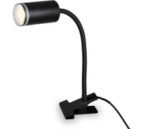 Переносной светильник Ambrella Light на прищепке с выключателем WALLERS FW2468