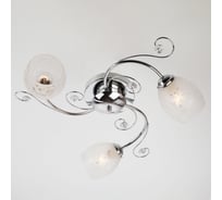 Люстра с плафонами Eurosvet 9677/3 хром 00000076894