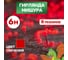 Гирлянда Neon-Night Мишура 6м, прозрачный ПВХ, 576 LED Красные 303-612 2