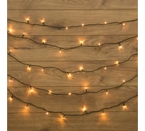 Гирлянда-нить Neon-Night 10 м, темно-зеленый ПВХ, 80 LED Тепло-белые 303-046