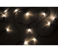 Гирлянда-нить Neon-Night 10 м, темно-зеленый ПВХ, 80 LED Тепло-белые 303-046