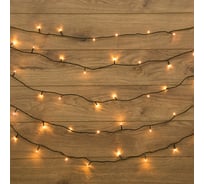 Гирлянда-нить Neon-Night 6м, темно-зеленый ПВХ, 40 LED Тепло-белые 303-026