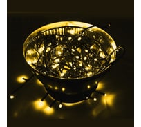 Гирлянда Neon-Night твинкл 10м, черный ПВХ, 100 LED Золотой 303-138