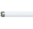 Люминесцентная лампа PHILIPS MASTER TL-D Super 80 36W/840 36Вт T8 4000К G13 38124 1