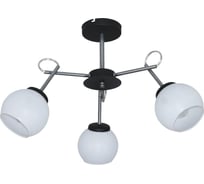 Потолочный светильник ЭЛЕТЕХ Блюз 131 черный хром (Плафон 8330) НПБ 01-3x60-226 Е27 [ИМ] 1005405224