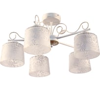 Светильник ЭЛЕТЕХ Дус 151 бел.зол. Плафон 04794 НПБ 01-5х60-151 Е27 ИУ 1005404058