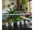 Подставка для светильника Uniel uli-p, на прищепке ufp-m02c-450 white polybag set2 UL-00010111 10