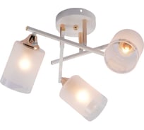 Люстра Rivoli Tammy 3162303 3 х Е27 60 Вт модерн Б0059258