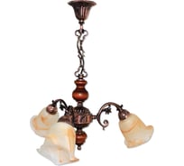 Светильник ЭЛЕТЕХ элика 231 медь плафон 00004 нсб 01-3х60-112 е27 1005403796