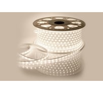 Комплект светодиодной ленты Apeyron 220В с аксессуарами 10-56