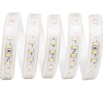 Комплект светодиодной ленты Apeyron 220В с аксессуарами 10-60