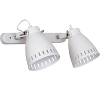 Настенный светильник Camelion WML-428-2 С01 белый New York 40Вт металл 13064