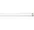Светодиодная лампа ASD LED-T8-standard 18Вт 230В G13 4000К 1440Лм 1200мм матовая 4690612003610 1