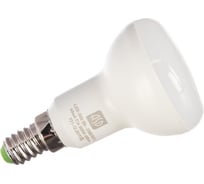 Светодиодная лампа ASD LED-R50-standard 5Вт 230В Е14 3000К 450Лм 4690612001531