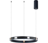 Подвесная люстра ARTE LAMP shine A2222SP-1BK