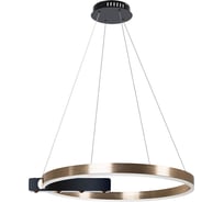 Подвесная люстра ARTE LAMP veritate A2221SP-1BR