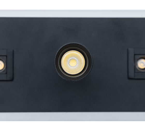 Светильник ARTE LAMP pisces A2220PL-3BK