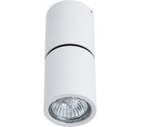Потолочный светильник Divinare 1800/03 PL- 1800/03 PL-1