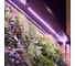 Комплект светодиодной ленты Uniel 3м uls-p71-2835-42led/m-ip65-3m-sple rrp24c00 UL-00008924 4