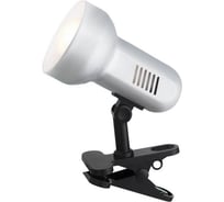 Настольная лампа GLOBO LIGHTING basic globo 5497