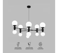 Потолочный светильник Eurosvet 30182 черный a063215