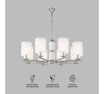 Потолочный светильник Eurosvet 60146/8 никель a063869