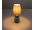 Настольная лампа GLOBO LIGHTING eugen globo 24135C 3