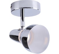 Спот TOPLIGHT dayna TL1243Y-01CH