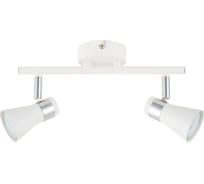 Спот TOPLIGHT regina TL1258Y-02WC