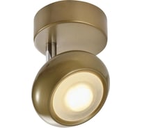Спот TOPLIGHT carissa TL1244Y-01SG