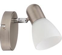 Спот TOPLIGHT violet TL1231Y-01SN