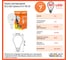 Светодиодная лампа СТАРТ eco ledsphere(шар) цоколь e14 7w теплый свет 11796 4