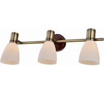 Спот TOPLIGHT sharyl TL3720Y-03BB