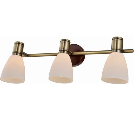 Спот TOPLIGHT sharyl TL3720Y-03BB