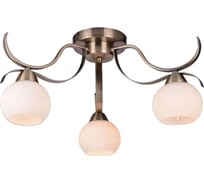 Потолочная люстра TOPLIGHT olivia TL3750X-03AB