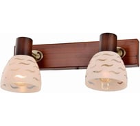 Спот TOPLIGHT shayla TL3730Y-02BB