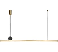 Подвесной светильник FAVOURITE firmato 4061-2P