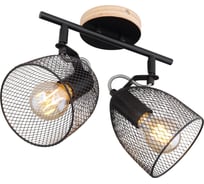 Спот GLOBO LIGHTING josina globo 54034-2