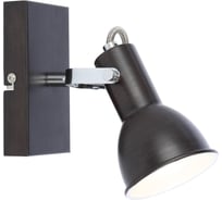 Спот GLOBO LIGHTING xenia globo 54643-1