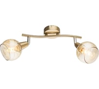 Спот GLOBO LIGHTING lara globo 54346-2