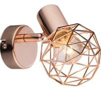 Спот GLOBO LIGHTING xara globo 54805-1