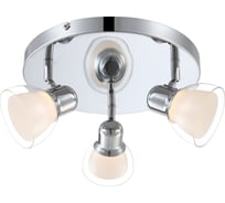 Спот GLOBO LIGHTING nashville globo 56182-3