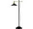 Торшер GLOBO LIGHTING lenius globo 15053S 1