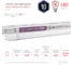 Светодиодная лампа ЭРА СТАНДАРТ LED T8-10W-865-G13-600mm, трубка стекл., 10Вт, G13 Б0033000 2
