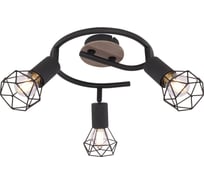 Потолочная люстра GLOBO LIGHTING xara i globo 54802S-3H