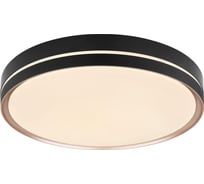 Потолочная люстра GLOBO LIGHTING manni globo 41759-40