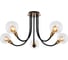 Потолочная люстра GLOBO LIGHTING eddy globo 56010-5D 1