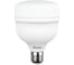 Лампа сд RITTER T100 E27 30W, 6500K, PowerMax, дневной свет 32417 1 2